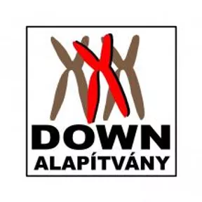 Down Alapítvány