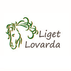 ​Liget Lovarda